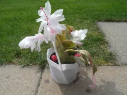 Plant support stick (Customizable)