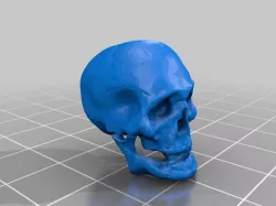 Test shape