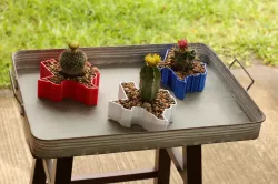 Texas Planter