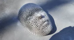 Voronoi style face mask