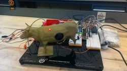 3DX Push button