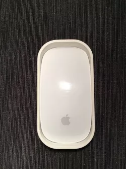 Apple Magic Mouse travel case