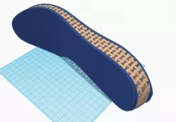 Auxetic Honeycomb Shoe Sole