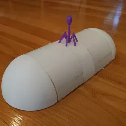 Bacteria Virus Model