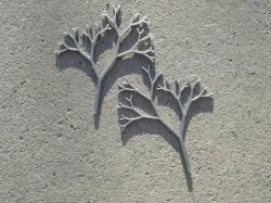 Parametric Tree Wall Art
