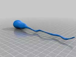 Sperm Cell