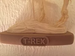 T-Rex Shelf