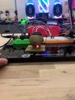 toad pushbutton