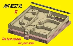 Ant Nest / Formicarium XL V1