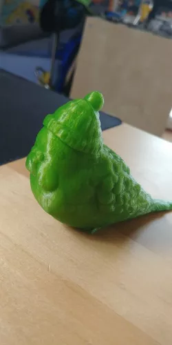Budgie