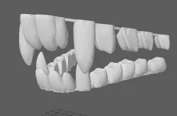 Fursuit teeth - version 1