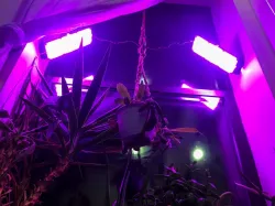 Grow Light Diffuser