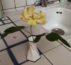 Hexagonal vase