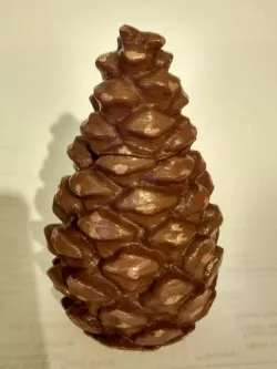 Pine cone cache
