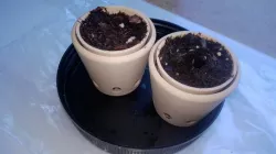 Seedling Planter
