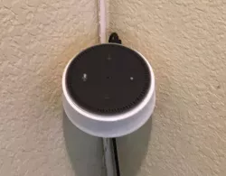 Alex Echo Dot Corner Mount
