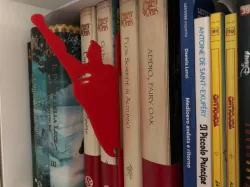 Book divider / separator