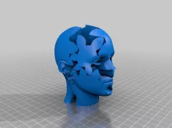 Custom Twisting Gears