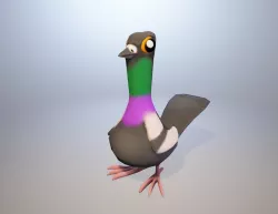 Dancing pigeons