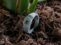 Great Swamp Ring