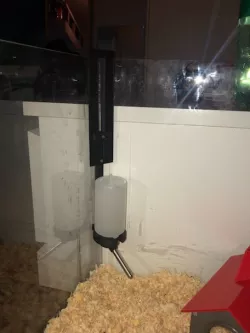 Hamster Bottle Holder