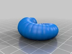 My Customized Simple  Nautilus shell