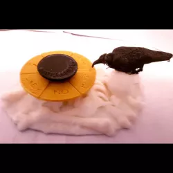 ORACULAR SPINNERS