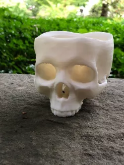 Skull Pot