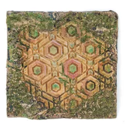 Texture Rollers - Free Sample 