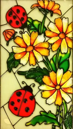 2 Ladybugs