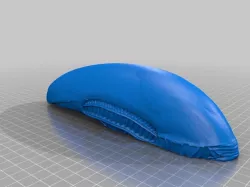 Alien Head Shield