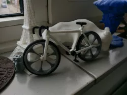 bicycle race model