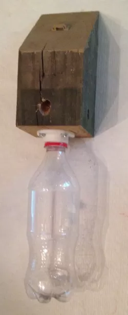 Carpenter Bee Trap Screw Bottle Flange