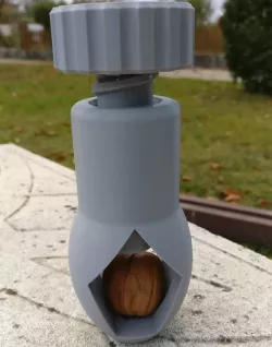casse noix ( Nutcracker )