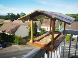 Coveside Bird Shelter
