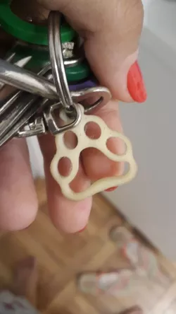 Dog Claw Keychain