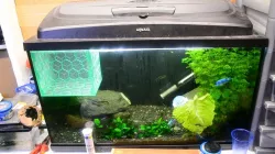 Fish-fry holding pen.