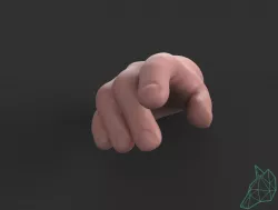 Hand