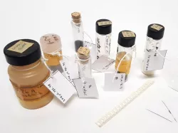 Label System for Museum Collections, etc. 