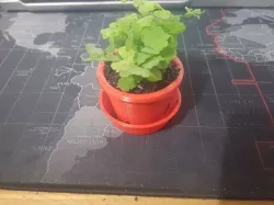 Mini Pot and water bucket