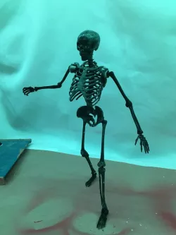 Posable Skeleton - Mr Bones Remix