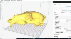 skeleton bear/squelette ours 