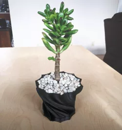 Twisted Succulent Planter