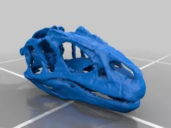Updated Allosaurus Skull and Erlikosaurus Skull