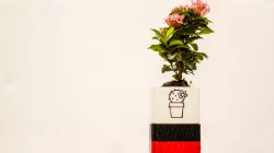 3D printed Self Watering Planter