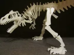 Allosaurus 3D Puzzle Construction Kit 