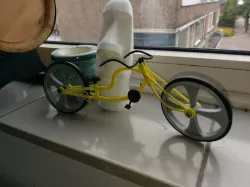 bicycle lowglider model
