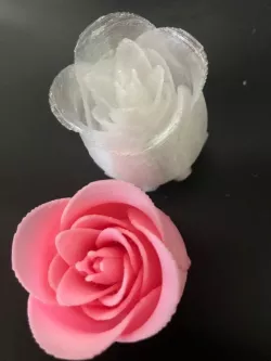 Closed Rose