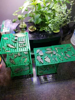 Drying Rack