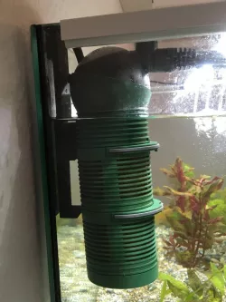 Eheim aqua ball - holder no suction cup / Halter ohne Saugnäpfe